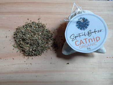 Organic Catnip 15g sachet