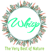 Whisp Ltd
