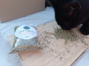 Organic Catnip